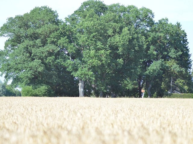 Sation im Feld beim Outdoor Wellness der Fereinwohnungen Scholz in Bad Wörishofen