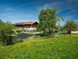 Badeteich und großer Auslauf für Hunde vor dem Seimehof.