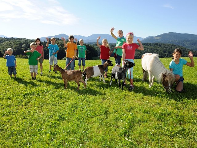 Platz zum toben und spielen auf dem Bauernhof in der Region Chiemsee