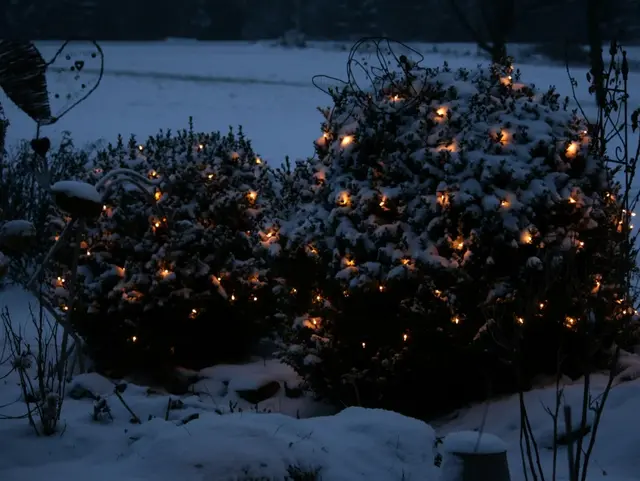 Winterstimmung - © Maria Pauli Winterstimmung im Bayerischen Wald