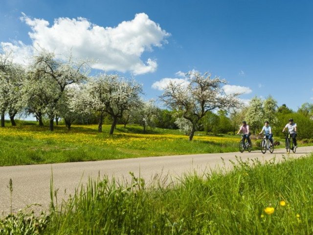 Radler auf dem Wörnitzradweg