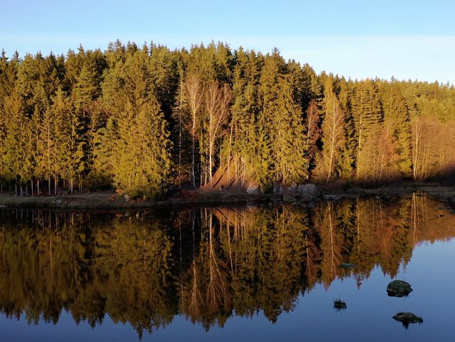 See am Gowerlhof in Tirschenreuth im Oberpfälzer Wald