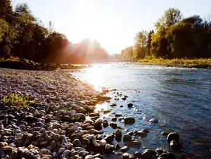 Entlang der Alz in der Region Inn-Salzach