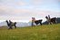 Wanderer mit drei Lamas beim Lamatrecking des Lamaerlebnishof in Nesselwang im Allgäu