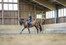 Reiten in der Halle in der Alpenregion Tegernsee Schliersee