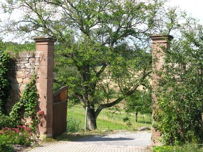 Idyllische Natur in den Mittelgebirgen in Bayern direkt vorm Hof