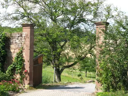 Traumhafte Ausblicke in die Natur der Mittelgebirge © Lindleshof Idyllische Natur in den Mittelgebirgen in Bayern direkt vorm Hof