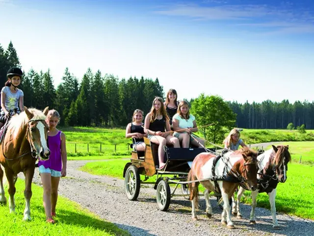 Familie auf der kutsche