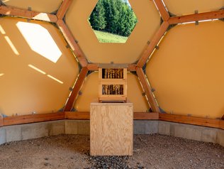 Verschiedene Stationen auf dem Bienenlehrpfad