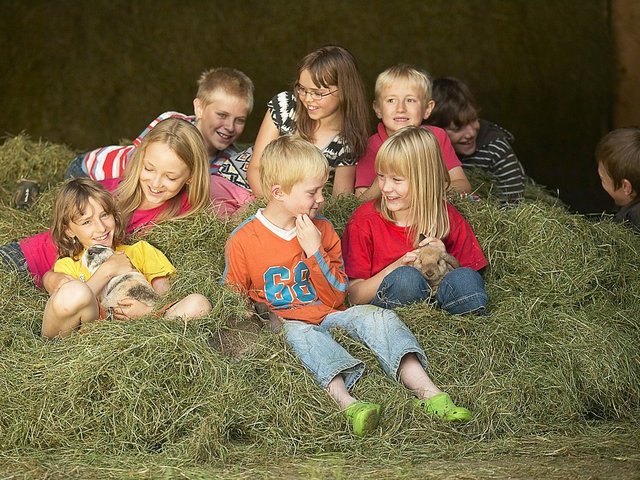 Familienurlaub auf dem Bauernhof