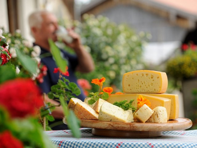 Selbstgemachter Käse und andere Produkte frisch und selbstgemacht vom Bauernhof aus der Region Chiemsee.