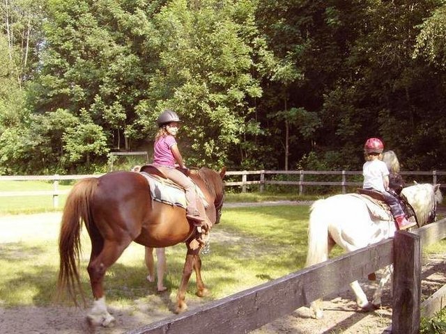 Auf dem Reitplatz