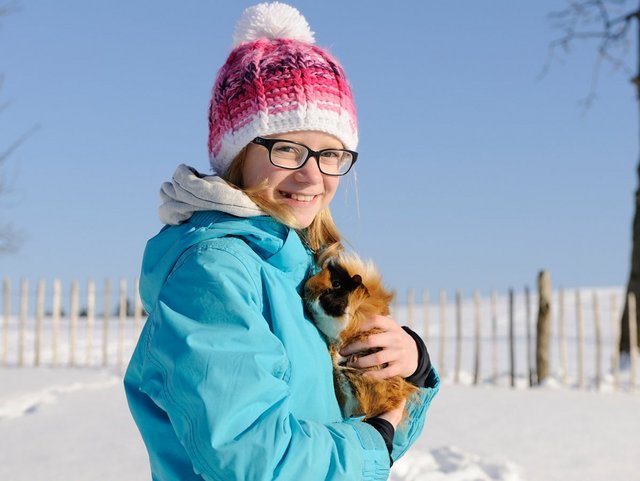 Streichelzoo mit Meerschweinchen auf dem Bauernhof in der Region Chiemsee