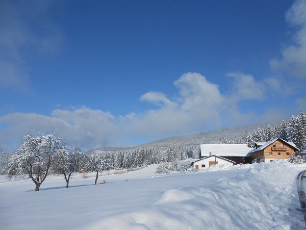 Winterurlaub mit Blick auf den Bayerischen Wald auf dem Familiennest Pauli