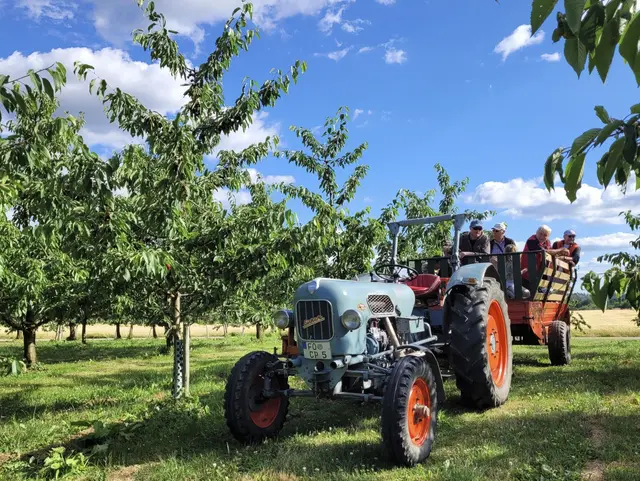 Traktor auf der Streuobstwiese