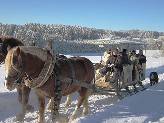 Pferdeschlittenfahrt auf dem Wiedererhof