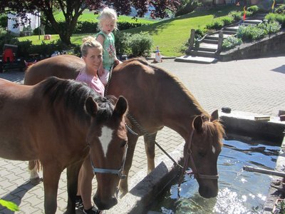 Sommer mit Pferden © Ferienbauernhof Jakob Pferde zum Reiten auf dem Ferienbauernhof Jakob