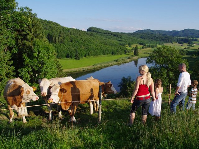 Familie mit Kühen vor dem Hengelesweiher im Allgäu