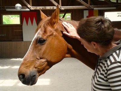 Pferd und Mensch Urlau auf dem Bauernhof