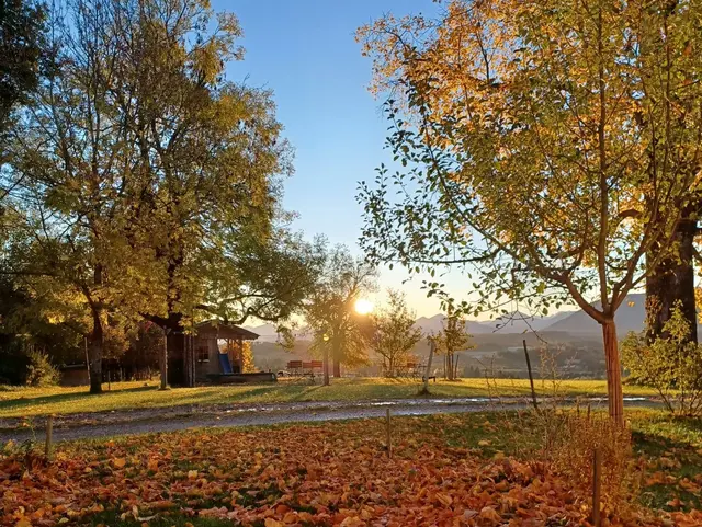 Bunter Herbstgarten am Ferienhof