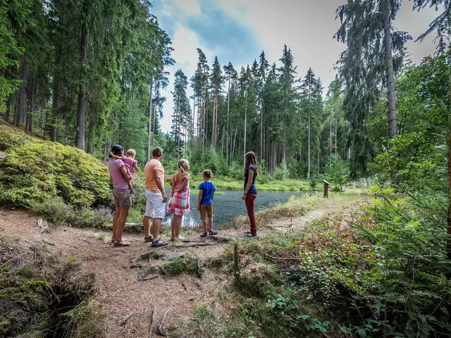 Schleifererpfad an der Glasschleif in Pullenreuth im Oberpfälzer Wald