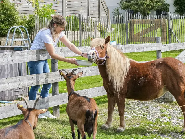 Landhof mit Ponys