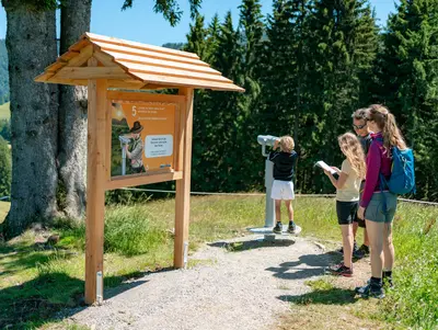 MounTeens-Detektivweg Familienwanderweg © Oberstaufen Tourismus/Leo Schindzielorz MounTeens-Detektivweg am Hündle