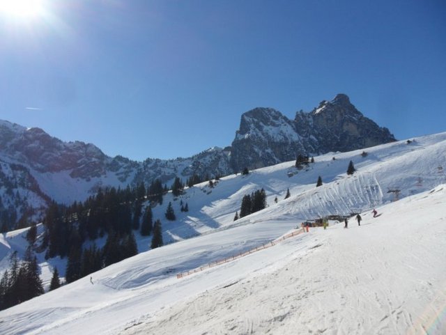 Verschneite Landschaft in Bayern