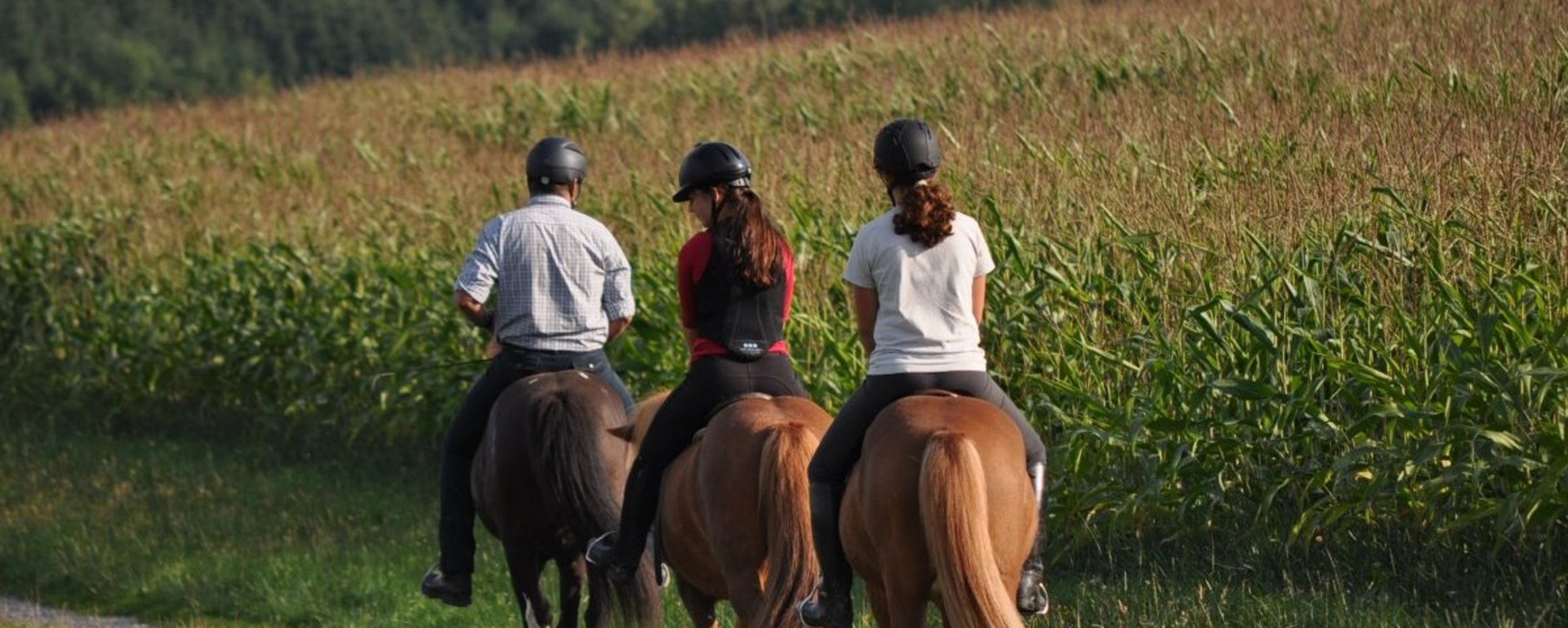 Reiten im Bayerischen Wald