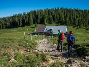 Wanderer auf dem Weg zur Jocheralm am Jochberg im Tölzer Land