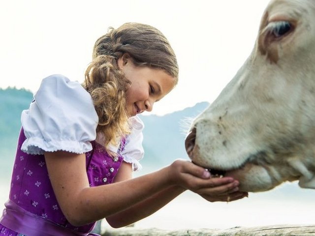 Mädchen mit Kuh auf der Alm Langerbauernalm