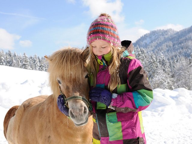 Pony zum Spielen und Streicheln auch im Winter auf dem Bauernhof in der Region Chiemsee