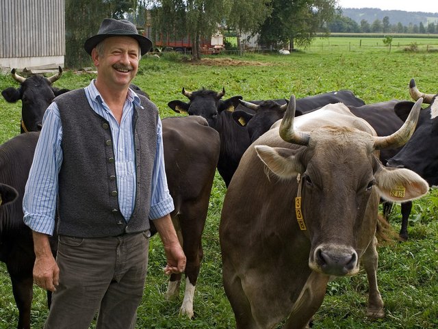 Andechser Bio-Bauer mit seinen Kühen