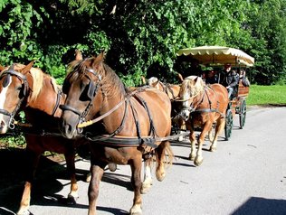 Kutschenfahrten vom Hof © Lamprechthof Mit der Kutsche im Urlaub fahren