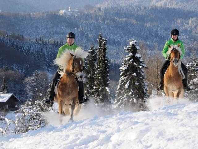 Reiten im Winterurlaub in Bayern