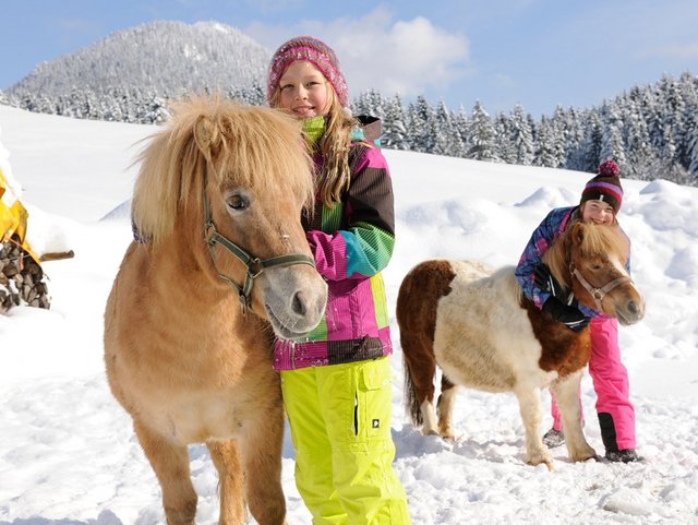 Mit dem Pony draußen im Schnee spielen auf dem Bauerhof in der Region Chiemsee