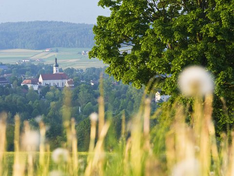 Landschaft Panorama Bayerischer Wald