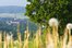 Landschaft Panorama Bayerischer Wald