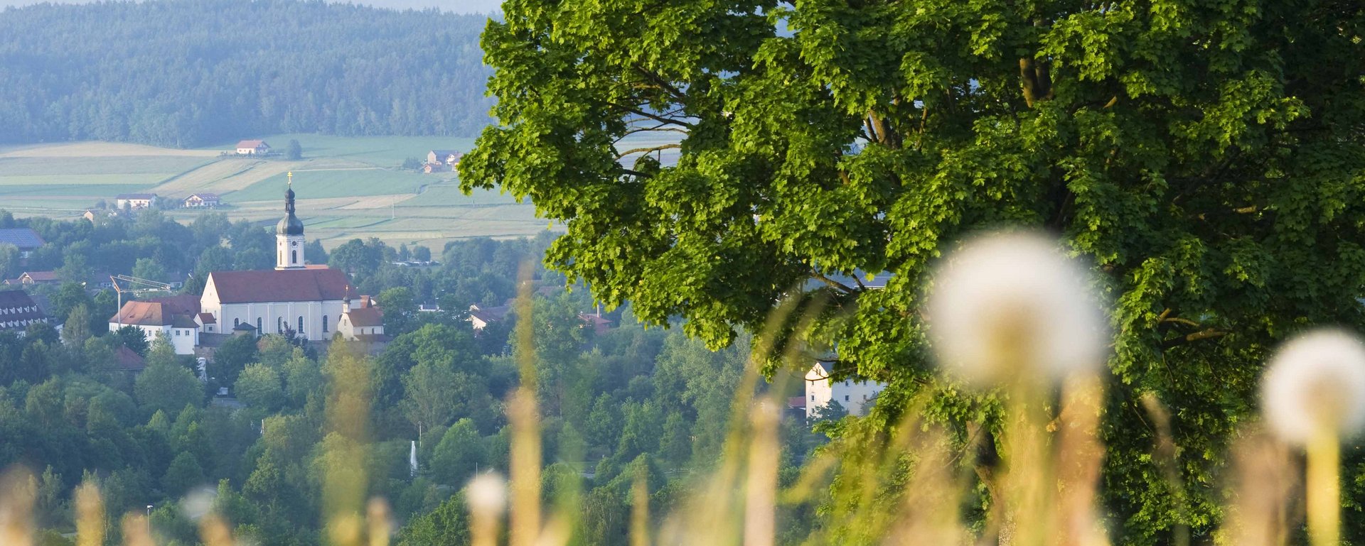 Landschaft Panorama Bayerischer Wald