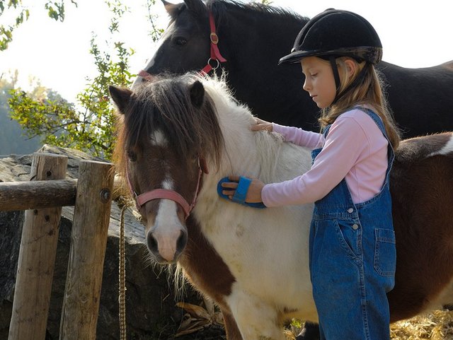 Erste Kontakte mit Pferden für Kinder auf dem Bauernhof