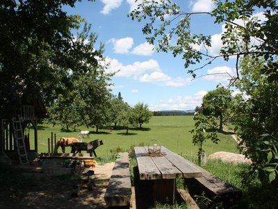 Bauernhoferlebnis direkt am Rannasee in Bayern