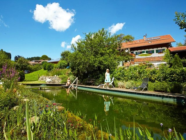 Schwimmteich auf dem Bauernhof Ücker in Riggies im Allgäu