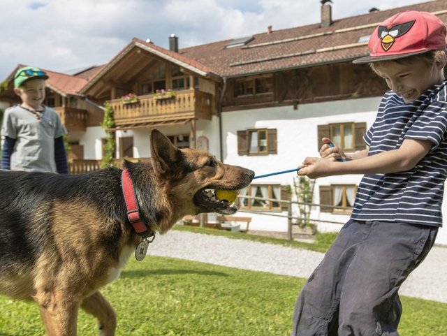 Mit Kindern und Hund Urlaub auf einem Bauernhof in Bayern machen.