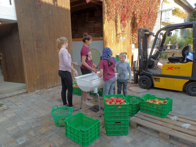 Am Hof wird das Obst sortiert