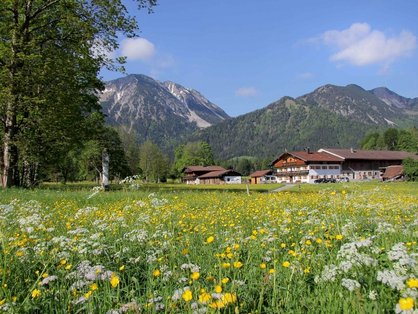 Ferienhof zum Wandern im Voralpenland © Klarerhof Idealer Ausgangspunkt zum Wandern - der Klarerhof im Voralpenland