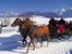 Pferdeschlittenfahrt vor Alpenpanorama Winter im Allgäu