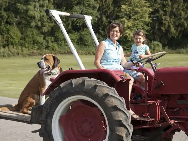 Gemeinsame Zeit am Hof verbringen