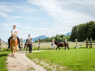 Reitanlage am Hof © Hanznhof Ferienhof mit Reitanlage am Chiemsee