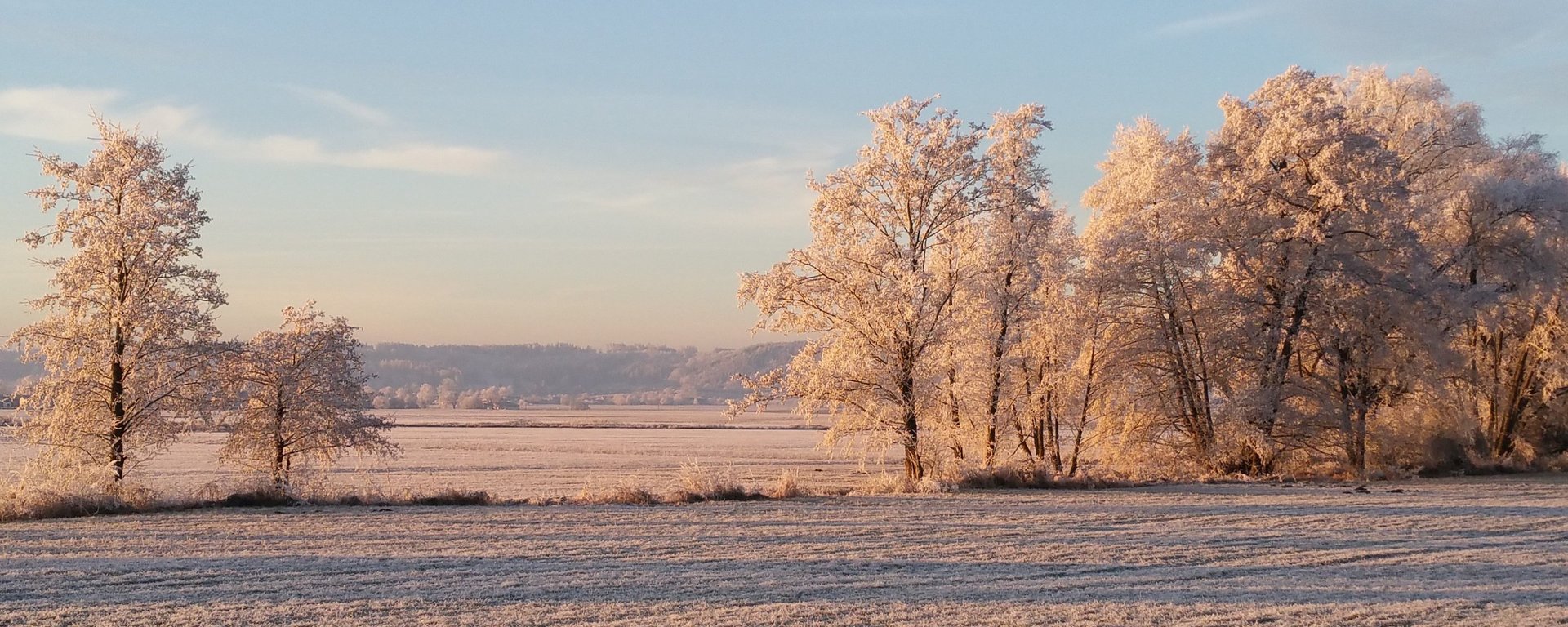 Schneebedeckte Natur im Romantischen Franken bei Urlaub auf einem Bauernhof erleben