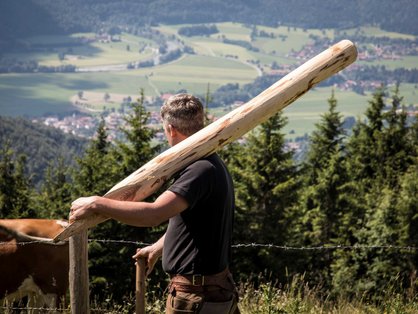 traumhafter Blick von der hofeigenen Alm auf dem Berg